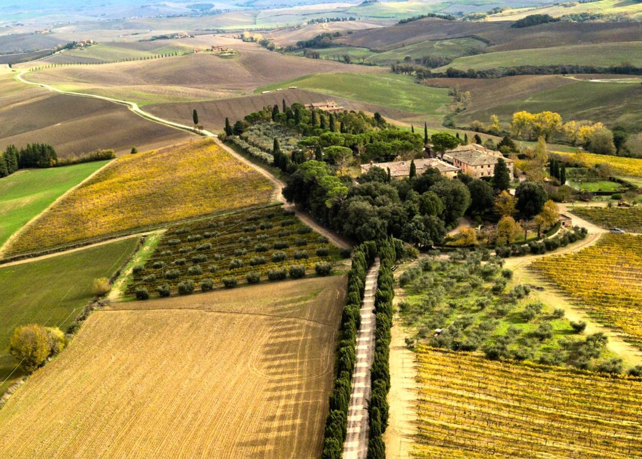 Villa Buonsignori - Wine & Olive Oil Farm Corsano  Zewnętrze zdjęcie