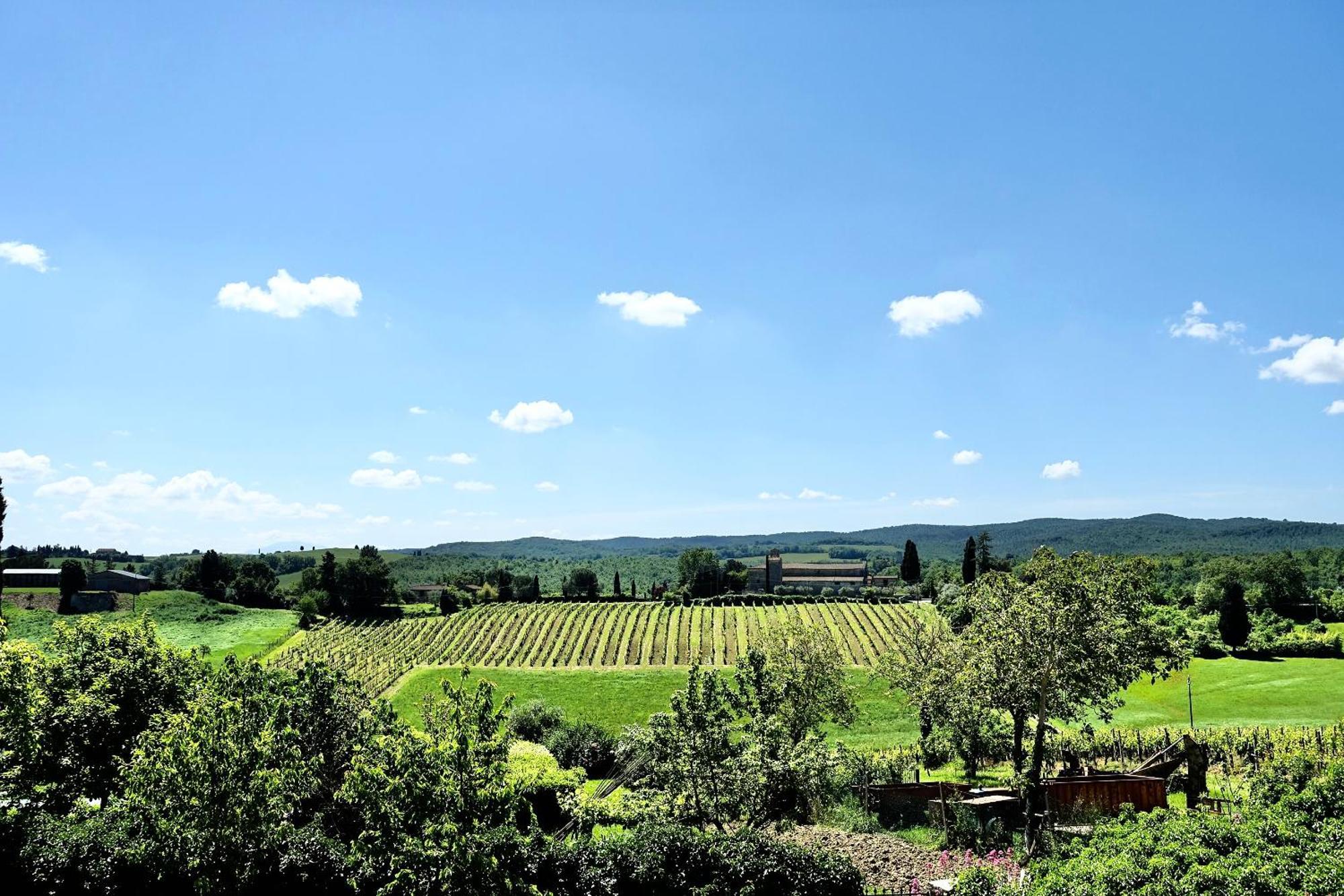 Villa Buonsignori - Wine & Olive Oil Farm Corsano  Zewnętrze zdjęcie